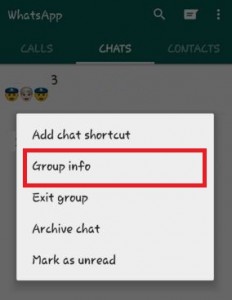 Toque la información del grupo en el grupo de WhatsApp