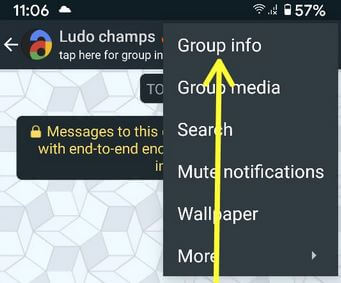 Cambiar el tema del grupo de Android de WhatsApp