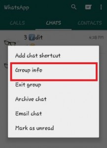 Toca la información del grupo en WhatsApp