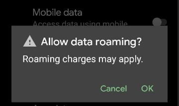 Cómo habilitar el roaming de datos en Google Pixel 5