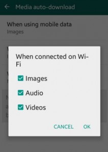 cambiar la configuración de medios de WhatsApp cuando esté conectado a Wi-Fi