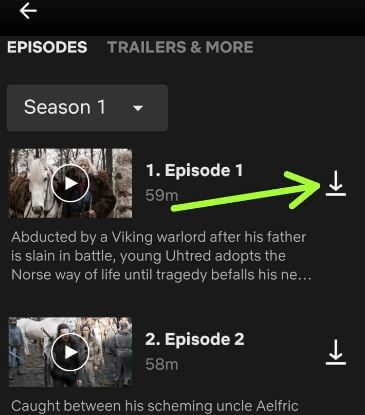 Cómo descargar contenido de Netflix para ver Android sin conexión