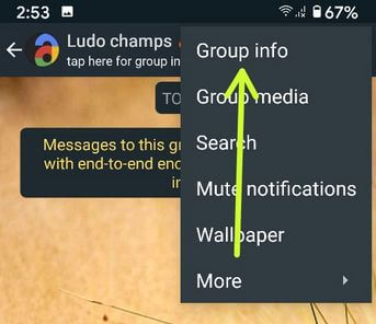 Edite la información del grupo en su teléfono Android WhatsApp