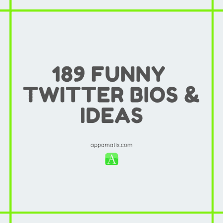 189 Biografías e ideas divertidas en Twitter