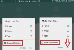 Cómo deshabilitar las notificaciones de chat en WhatsApp Android