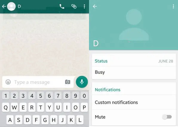 Abra el contacto individual o favorito para cambiar el tono de WhatsApp