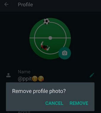 Tomar una foto de perfil en Android WhatsApp