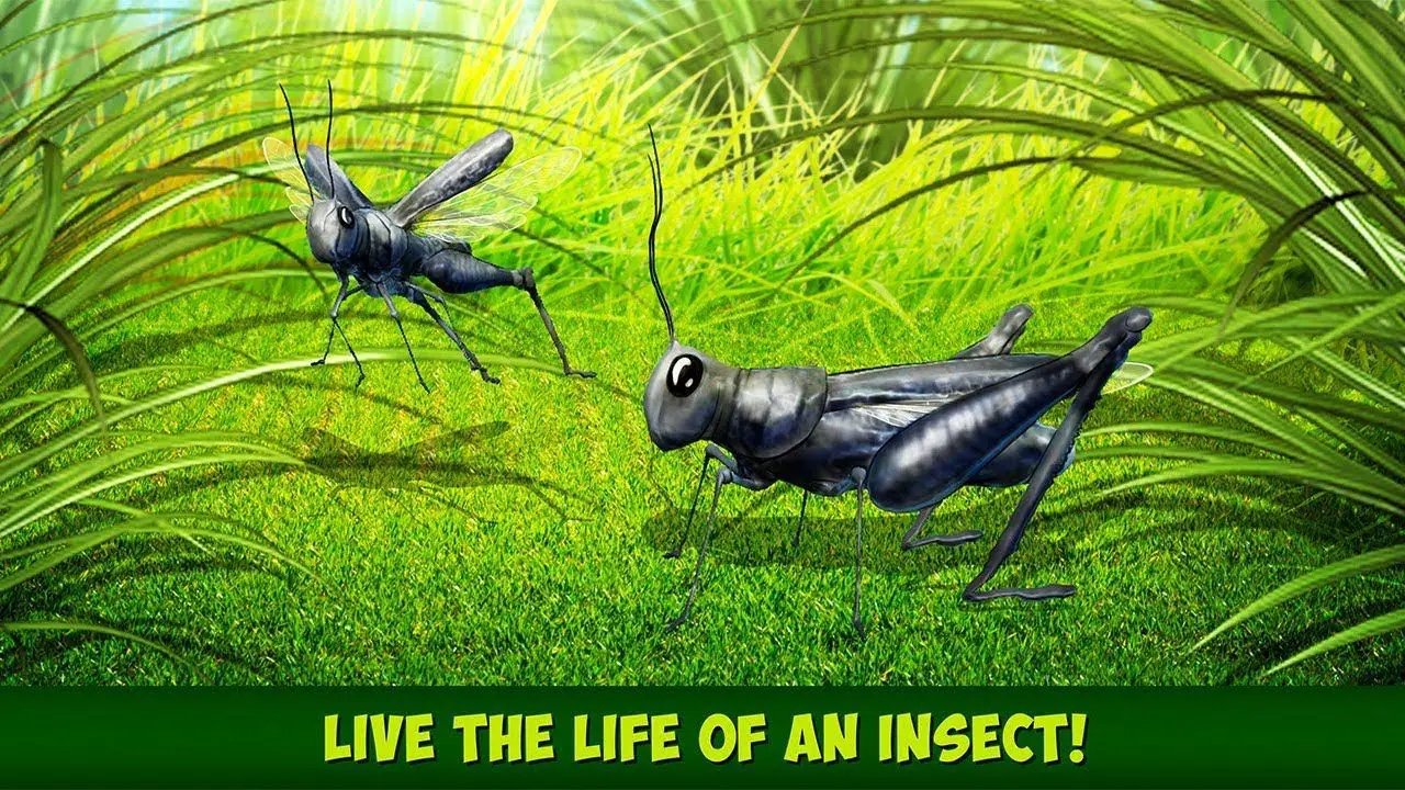 Insect Simulator: controles pre-alfa y guía de juego