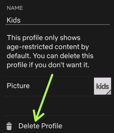 Cómo eliminar el perfil de Netflix en Android
