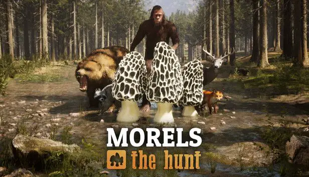 Morels: The Golden Hunt Morels and Collectibles Guide