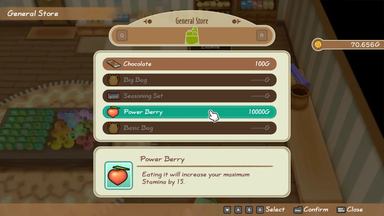 Story of Seasons: Friends of Mineral Town All Power Berries y Special Berry Location
