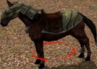 Metin2: Cómo conseguir un caballo