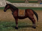 Metin2: Cómo conseguir un caballo